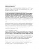 ENSEÑAR A PENSAR =KUHN DEANNA