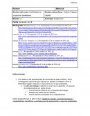 Habilidades de proyección profesional. Organización de un plan de trabajo en equipo