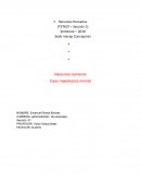 Caso maestranza rimmet