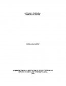 HUMANIZACIÓN EN LA PRESTACION DE SERVICIOS DE SALUD