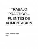 TRABAJO PRACTICO – FUENTES DE ALIMENTACION