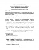 INFORME DE MEJORA DE PROCESOS DE UNA MYPE REAL