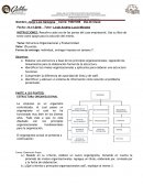 Estructura Organizacional y Productividad
