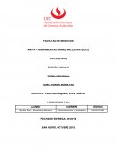 Análisis de Panetón Blanca Flor