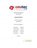 Estrategia y cultura organizacional. Cervecería Hondureña