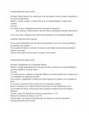 Estrategia global de mejora escolar