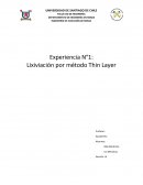 Experiencia N°1: Lixiviación por método Thin Layer