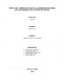 EFECTO DEL CARBÓN ACTIVADO EN LA ADSORCIÓN DE CROMO DEL AGUA RESIDUAL DE LA ETAPA DE CURTIDO