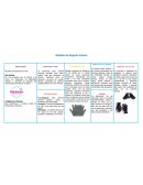 Canvas. Socios claves