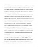 ENSAYO DISCAPACIDAD VISUAL