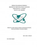Diseño de un reactor capaz de controlar la Termoreacción de Fusión Nuclear para satisfacer la demanda energética