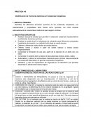 Funciones Químicas en Sustancias Inorgánicas