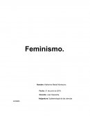 Epistemología de las ciencias sociales. Feminismo