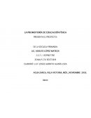 LA PROMOTORÍA DE EDUCACIÓN FÍSICA