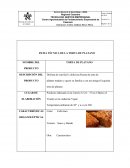 Ficha tecnica de productos elaborados