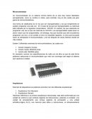 Microcontrolador