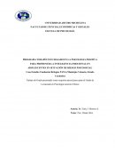 Tesis psicologia positiva