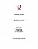 GERENCIAL ORGANIZACIONAL Y DE GESTION “DESARROLLO DE CASOS”