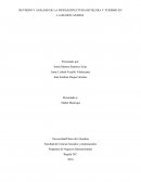 REVISIÓN Y ANÁLISIS DE LA INFRAESTRUCTURA HOTELERA Y TURISMO EN LA REGIÓN ANDINA