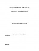 Actividad integradora 1 LCE Experimento del crecimiento de la lechuga