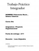 Trabajo Práctico Proyecto Organizacional