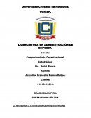 La Percepción y la toma de decisiones individuales