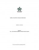 Análisis y desarrollo de sistemas de información. Evidencia