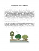 Ecosistemas Acuáticos de Herrera