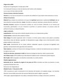 Guia basica derechos humanos