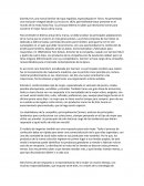 Caso Practico: SITA MURT