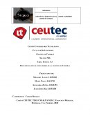 Tarea Semana # 3 Documentación de indicadores de la gestión de Compras