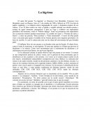 La lágrima. Francisco Luis Bernárdez