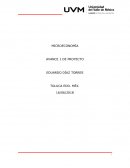 Estructura Corporativa “DISEÑOS DIVANNI”