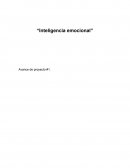 Inteligencia Emocional Concepto