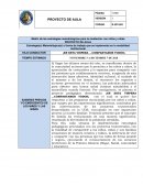 PROYECTO DE AULA. Matriz de las estrategias metodológicas para la mediación con niños y niñas