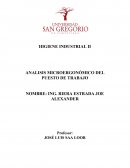 ANALISIS MICROERGONÓMICO DEL PUESTO DE TRABAJO