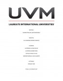 Análisis FODA (Fortalezas, Oportunidades, Debilidades, Amenazas) Coyotas Doña María