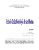 Área de formación: Grupo de Interés