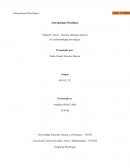 Enfoques antropologicos