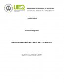 REPORTE DE COMO LOGRA MACDONALDS TENER TANTAS VENTAS