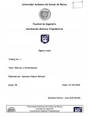 Algreba lineal. Matrices y Determinantes