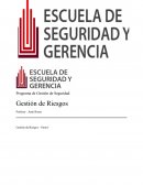 Programa de Gestión de Seguridad Gestión de Riesgos