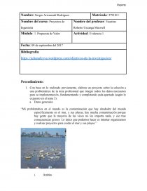 Actividad 2 Proyectos de Ingenieria. Página 1