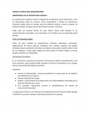 IMPORTANCIA DE LAS ESTRUCTURAS SOCIALES