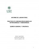 INFORME DE LABORATORIO. PRACTICO N°2: SEPARACIÓN DE MEZCLAS HETEROGÉNEAS Y HOMOGÉNEAS