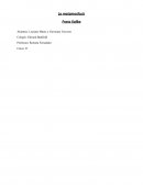 La metamorfosis Franz Kafka