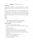 Unidad Didáctica: “Los exploradores de bichos en acción”