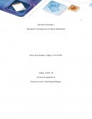 Laboratorio1 automatización industrial