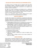 ANALISIS DE TIPOS DE ORGANIZACION