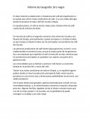 Informe sobre: Oro negro